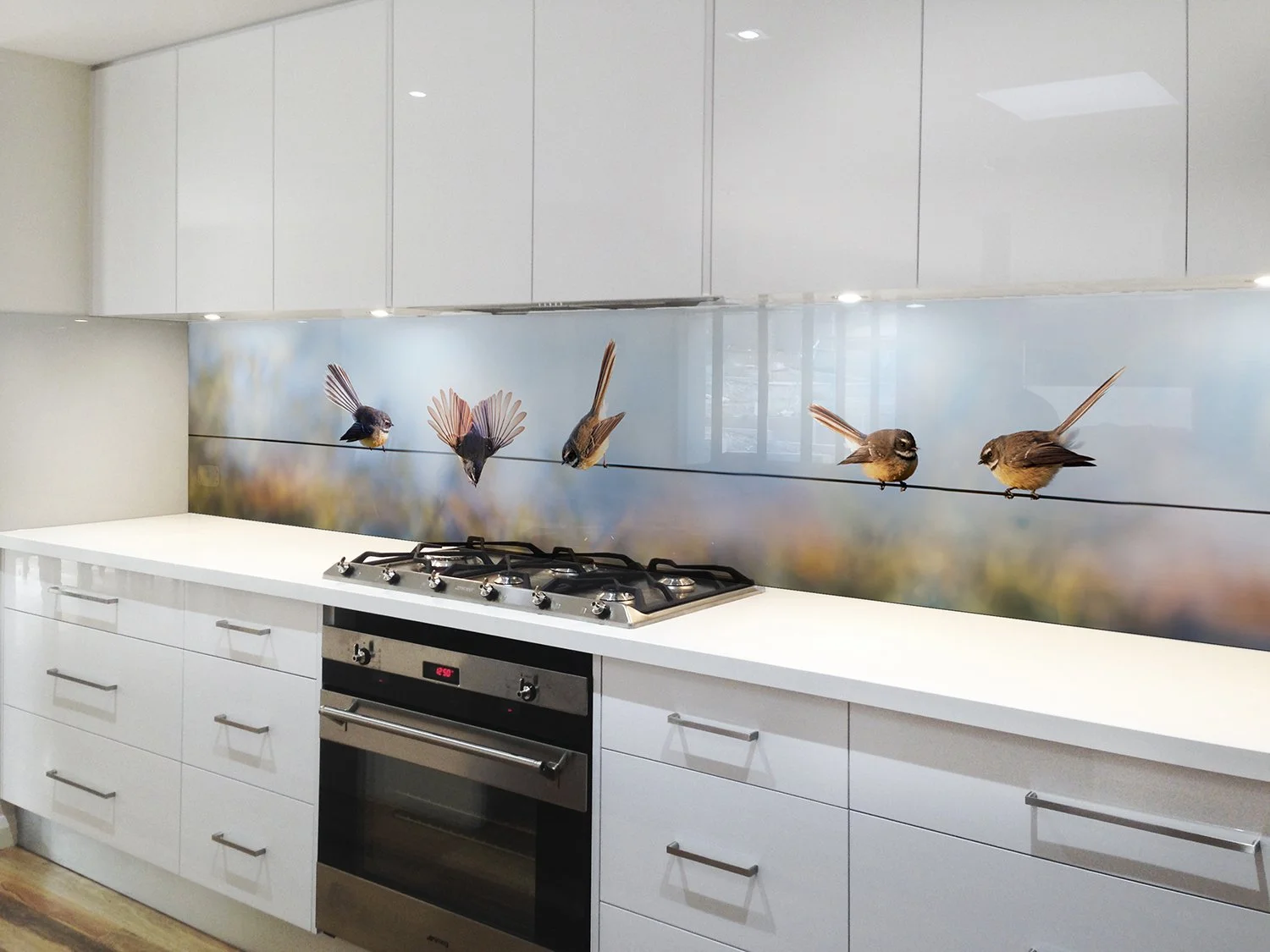 Fantails glass printed backsplash